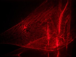 Chaotische Symphonie 