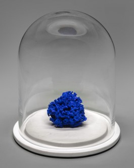 Yves Klein Schwamm 